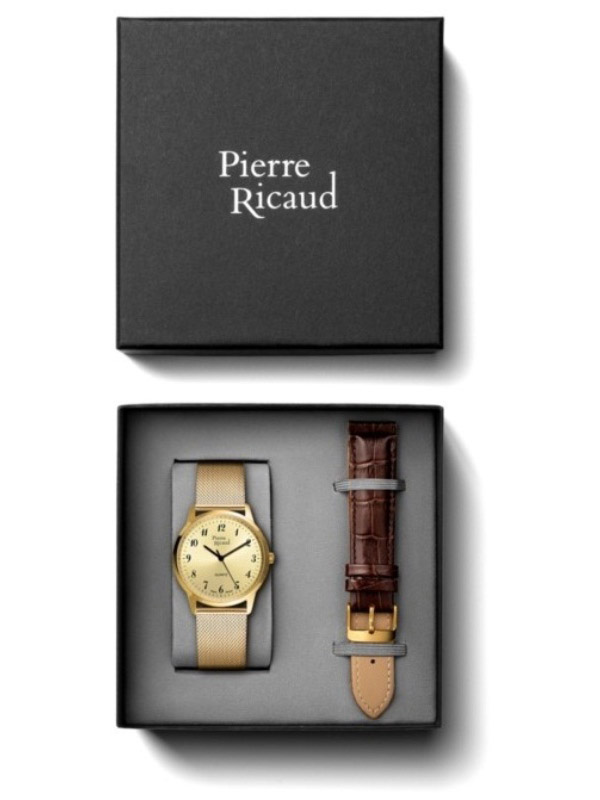Pierre Ricaud P91090.1121Q - SET