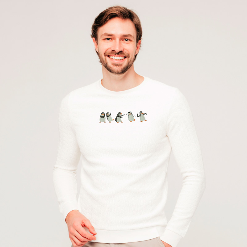 Без бренда Світшот легкий з вишивкою пінгвіни 01-2